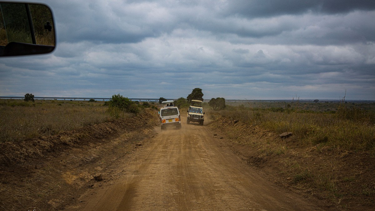 Private vs. Group Safari in Kenya: Which to Book? - photo 2