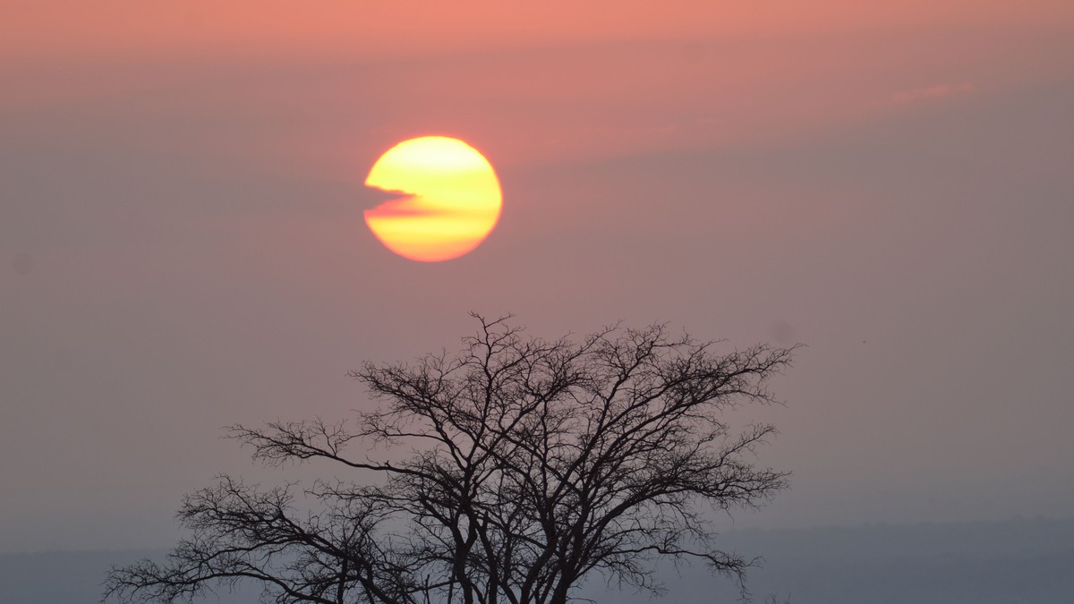 Retirement Dream Safari Kenya Trip: Planning Guide - photo 1