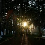 Safari Camp WiFi & Remote Work in Kenya: What Works