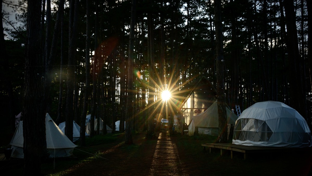 Safari Camp WiFi & Remote Work in Kenya: What Works
