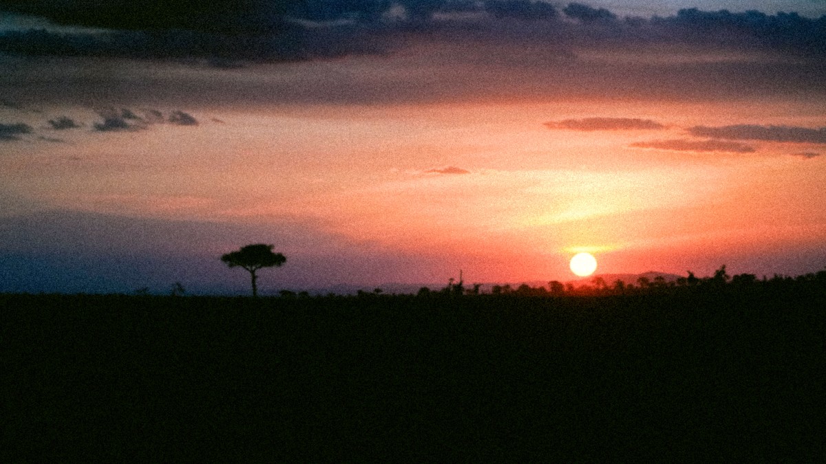 Safari Game Drive Fatigue in Kids: A Parent's Guide - photo 1
