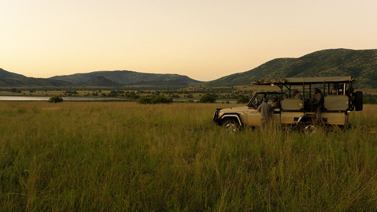 Safari Game Drive Fatigue in Kids: A Parent's Guide - photo 2