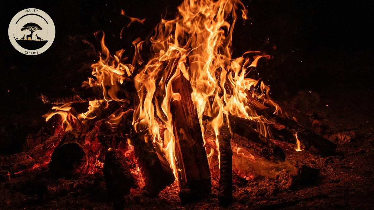 Safari Tent Safety at Night: Is It Safe With Predators? - photo 1