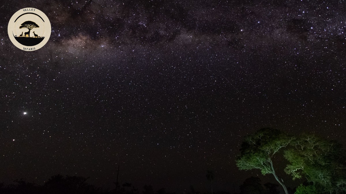 Safari Tent Safety at Night: Is It Safe With Predators? - photo 2
