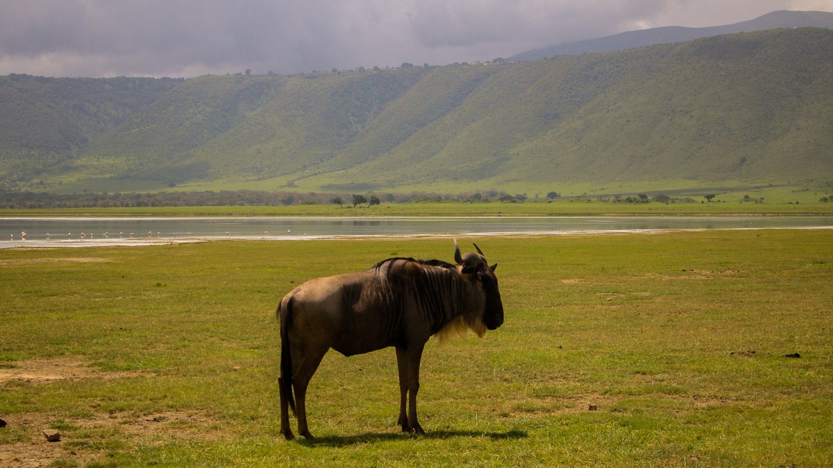 Samburu vs Masai Mara Safari: Which One to Book? - photo 1