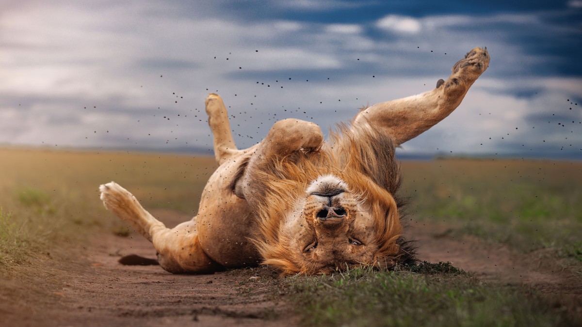Second Kenya Safari: Where to Go After the Mara - photo 2