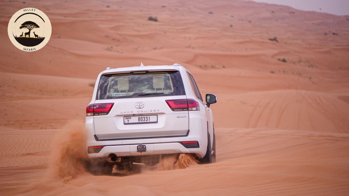 Self-Drive Safari Kenya Rental: Requirements Explained - photo 1