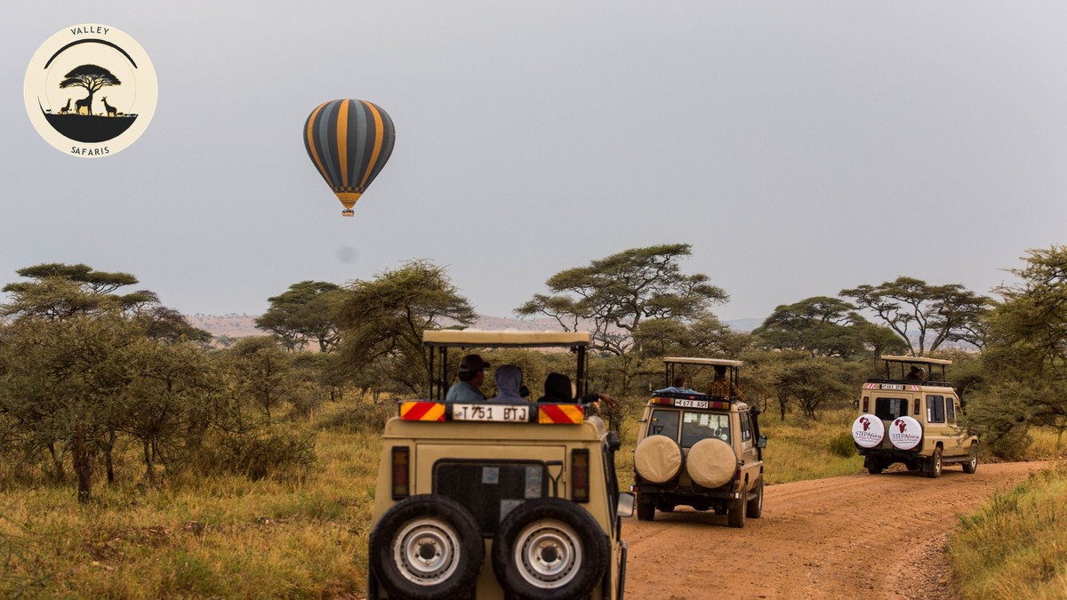 Self-Drive Safari Kenya Rental: Requirements Explained - photo 2