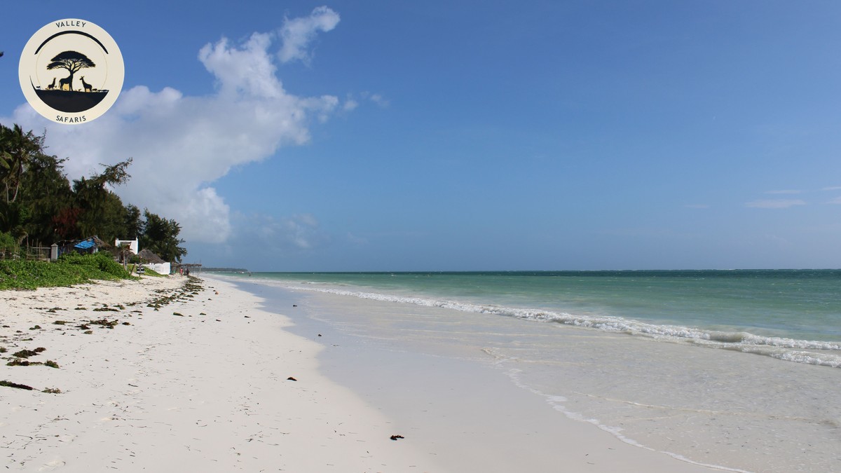 Seychelles Safari Beach Extension Guide From Kenya