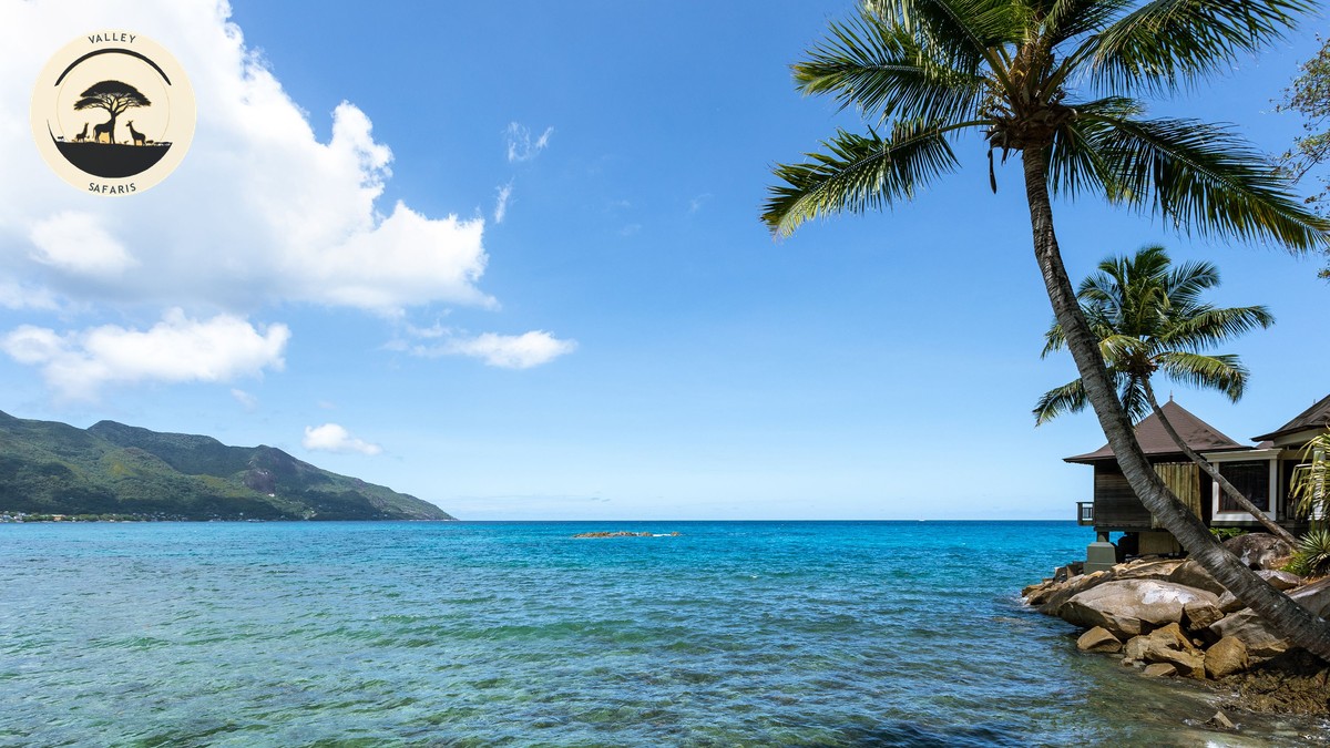 Seychelles Safari Beach Extension Guide From Kenya - photo 1