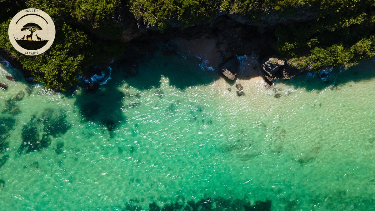 Seychelles Safari Beach Extension Guide From Kenya - photo 2