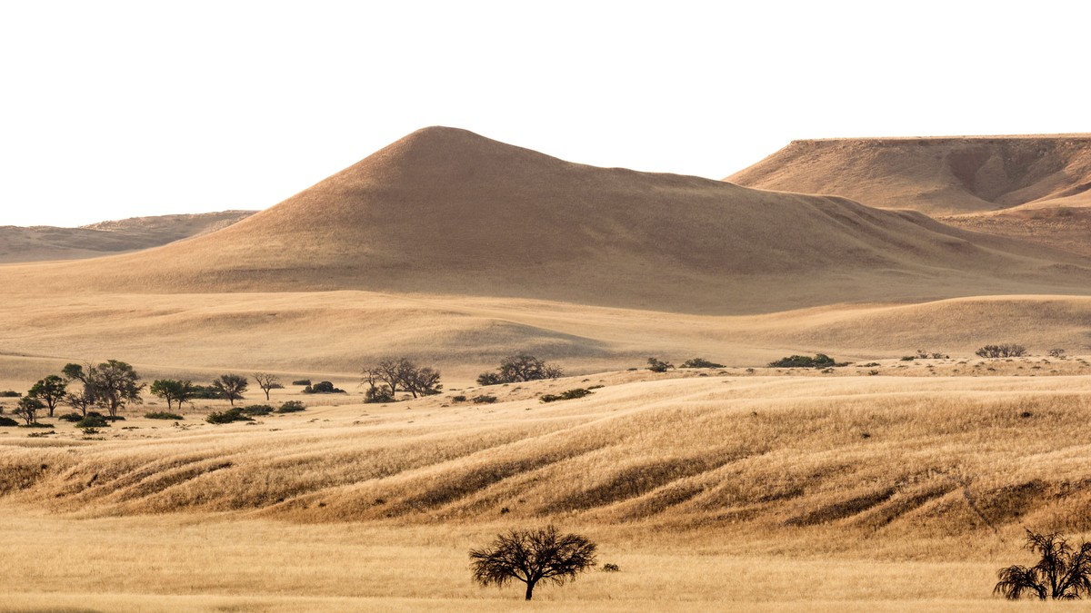 Single Supplement on Kenya Safaris: Who Waives It in 2026 - photo 1