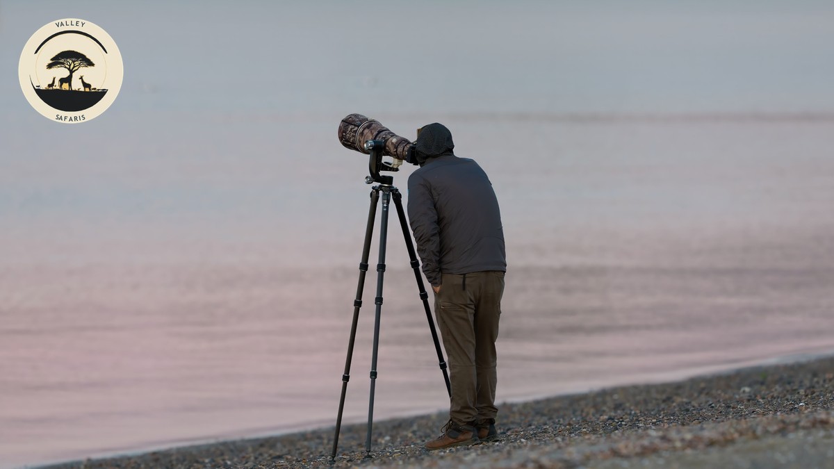 Smartphone Photography Safari Kenya Tips (No DSLR)