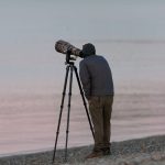 Smartphone Photography Safari Kenya: Tips That Work