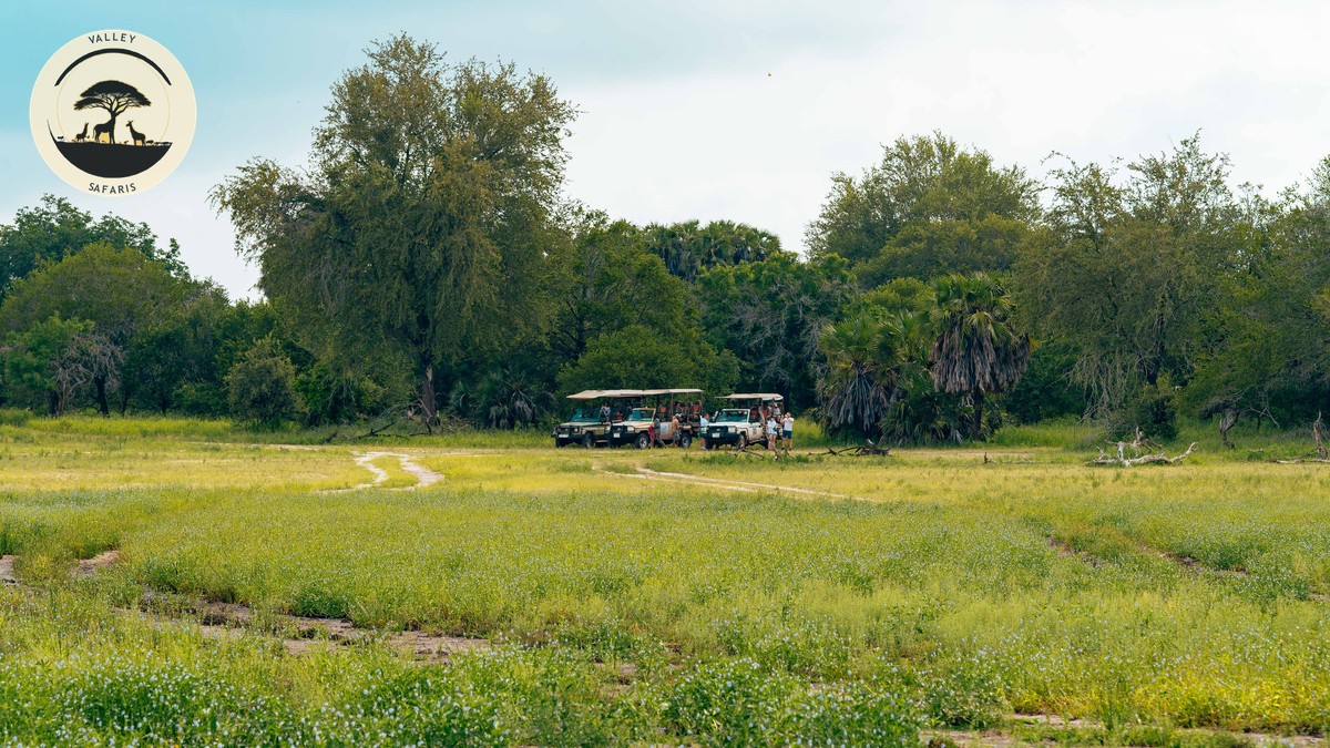 Smartphone Photography Safari Kenya: Tips That Work - photo 1