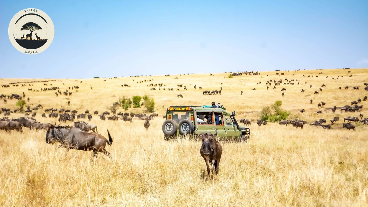 Solo Female Safari Safety in Kenya: The Real Guide - photo 2