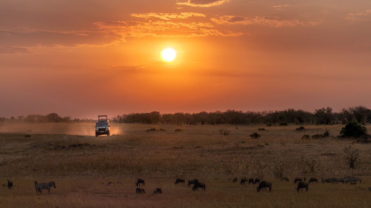 Surprise Proposal Safari Kenya: A Planning Guide - photo 1