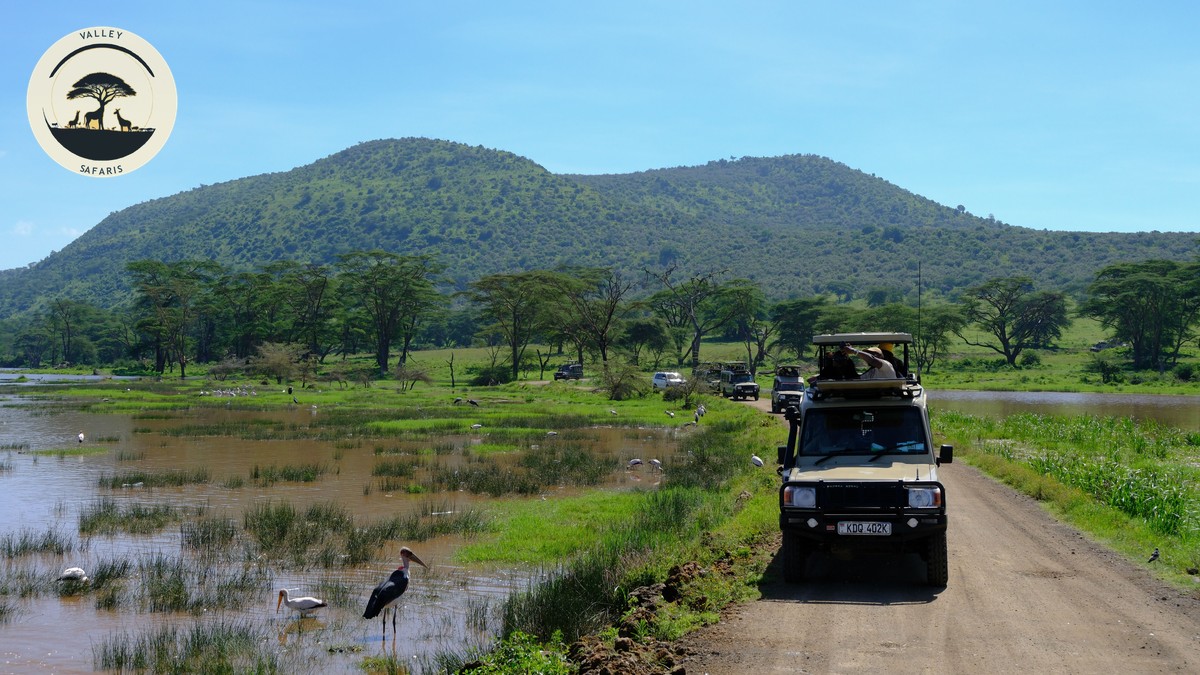 Tap Water Safety Kenya Safari: What You Need to Know - photo 2