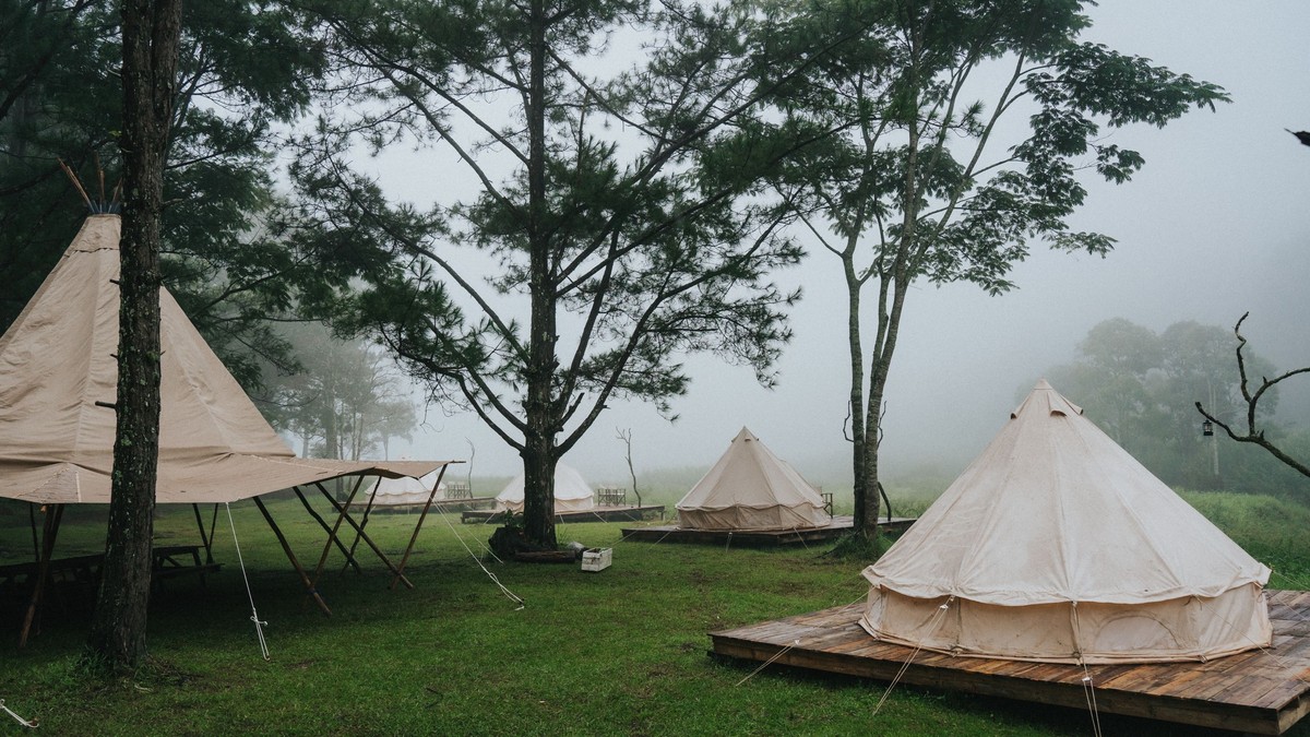 Tented Camp vs Lodge Safari Kenya: How to Choose - photo 2
