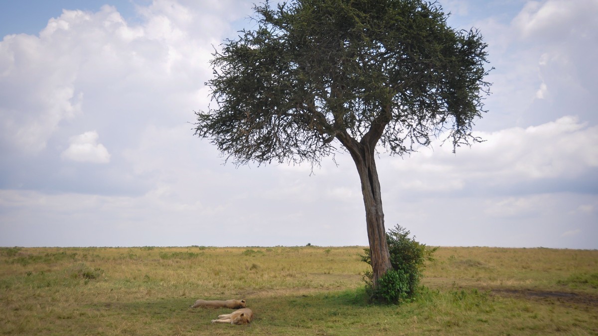 Tsavo East and West: Kenya's Most Underrated Safari Parks - photo 1