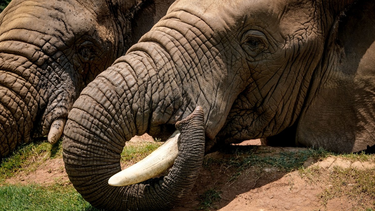 Tsavo East and West: Kenya's Most Underrated Safari Parks - photo 2