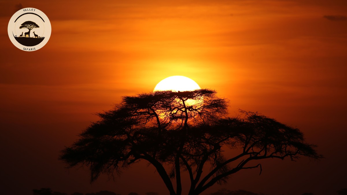 Typical Day on a Kenya Safari Schedule: Hour by Hour - photo 1