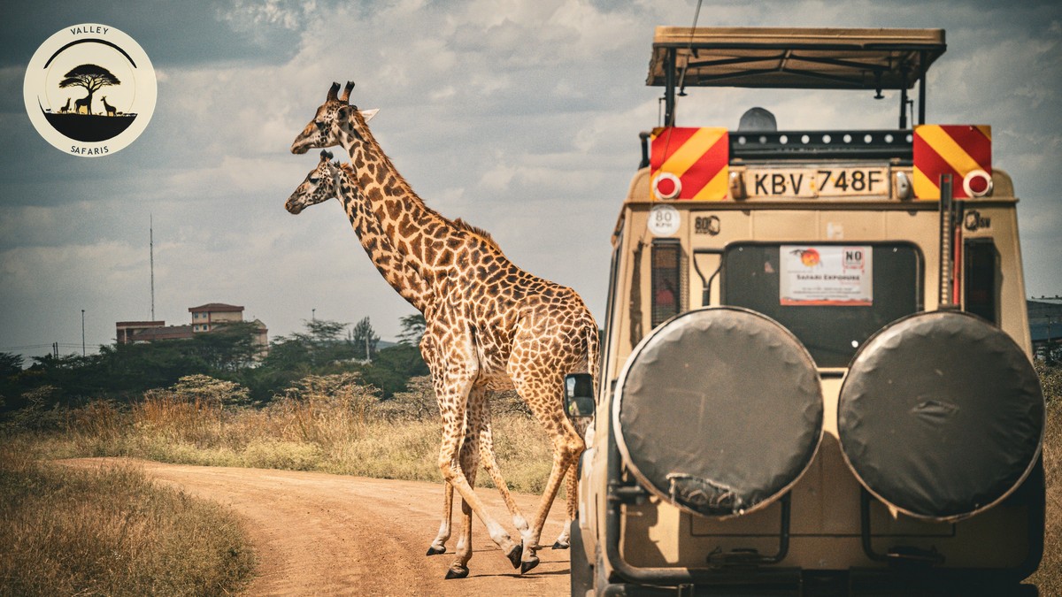 Typical Day on Safari Schedule in Kenya, Hour by Hour - photo 2