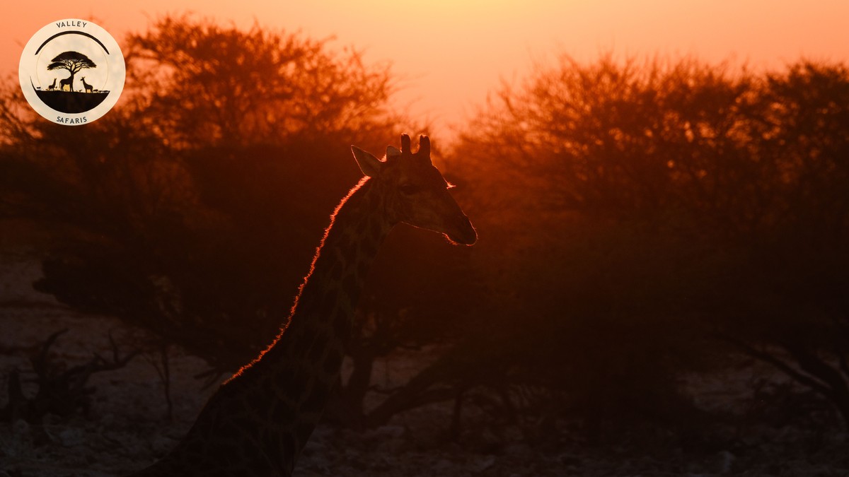 5 Underrated Kenya National Parks Off Beaten Path - photo 1
