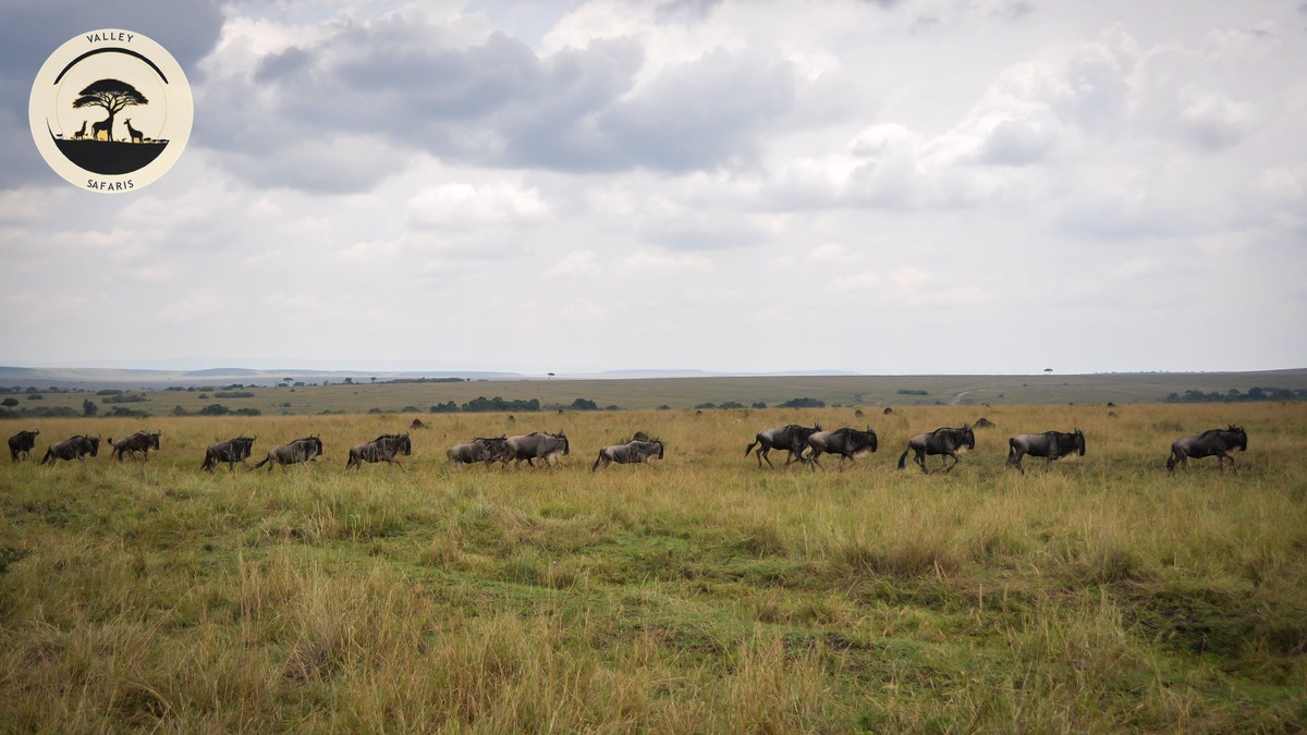 5 Underrated Kenya National Parks Off Beaten Path - photo 2