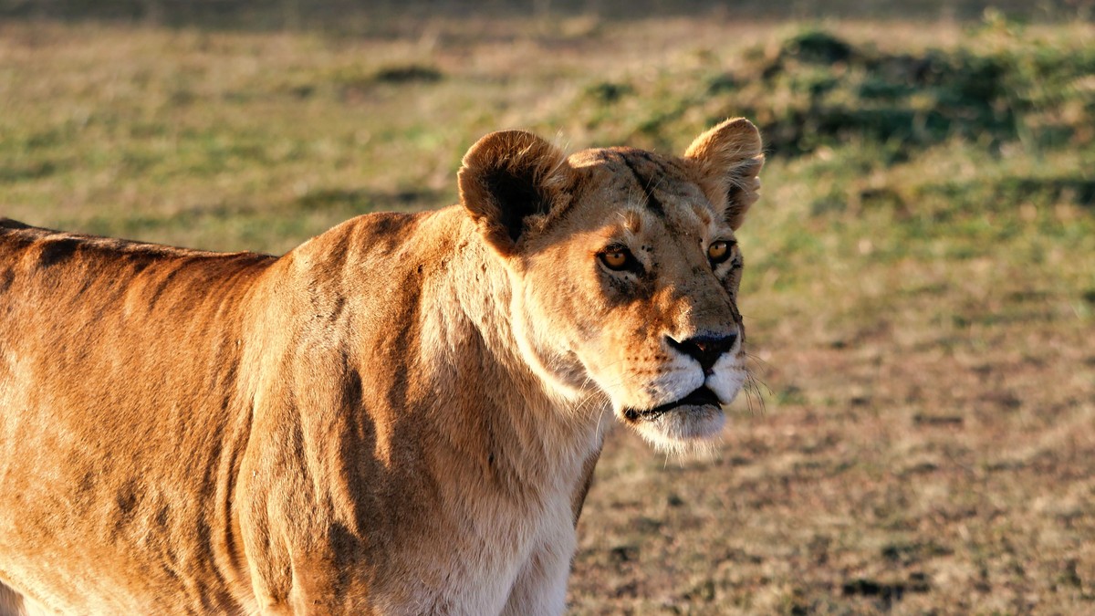 UNESCO World Heritage Sites Kenya Safari Guide - photo 1