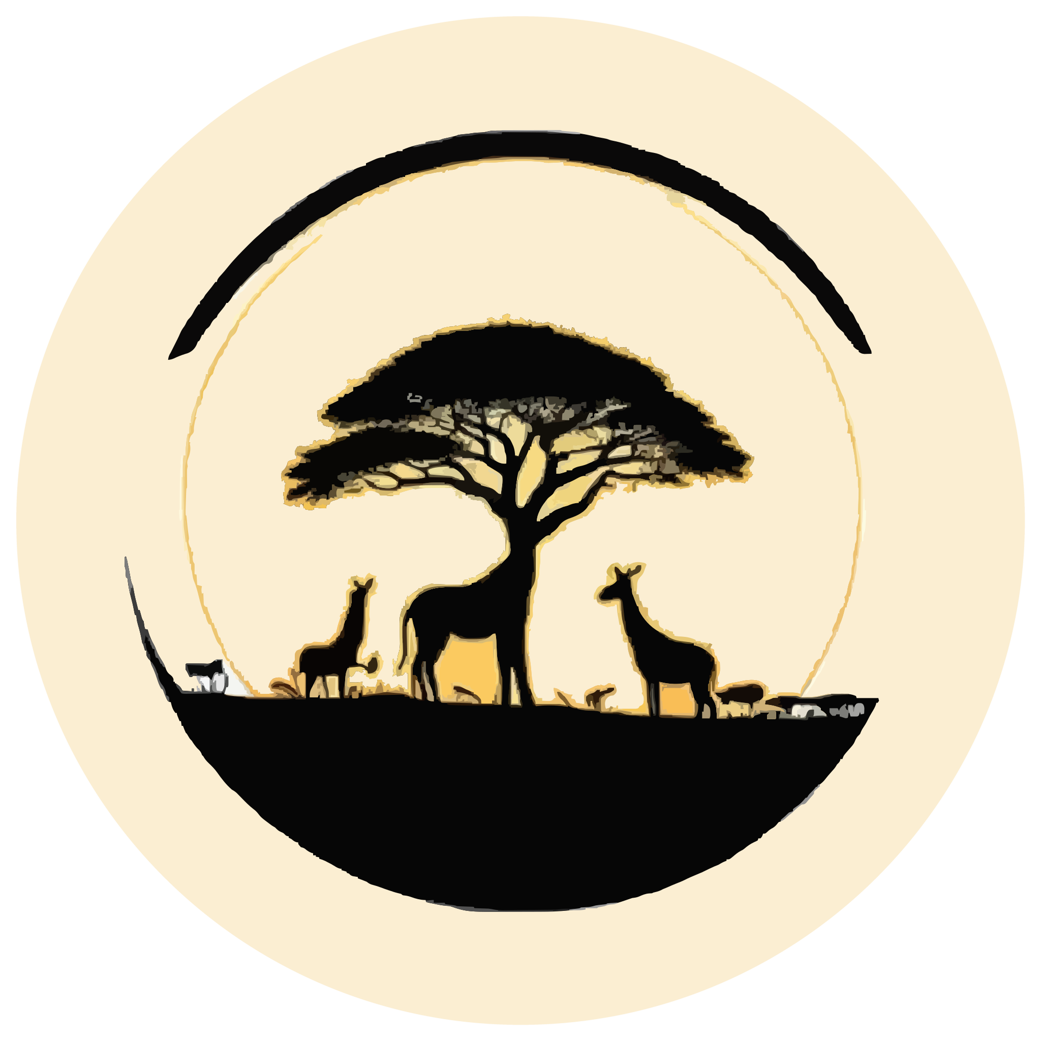Valley Safaris Limited