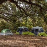 What Meals Are Included in a Safari Camp? Full Guide