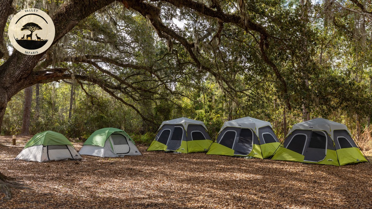 What Meals Are Included in a Safari Camp? Full Guide