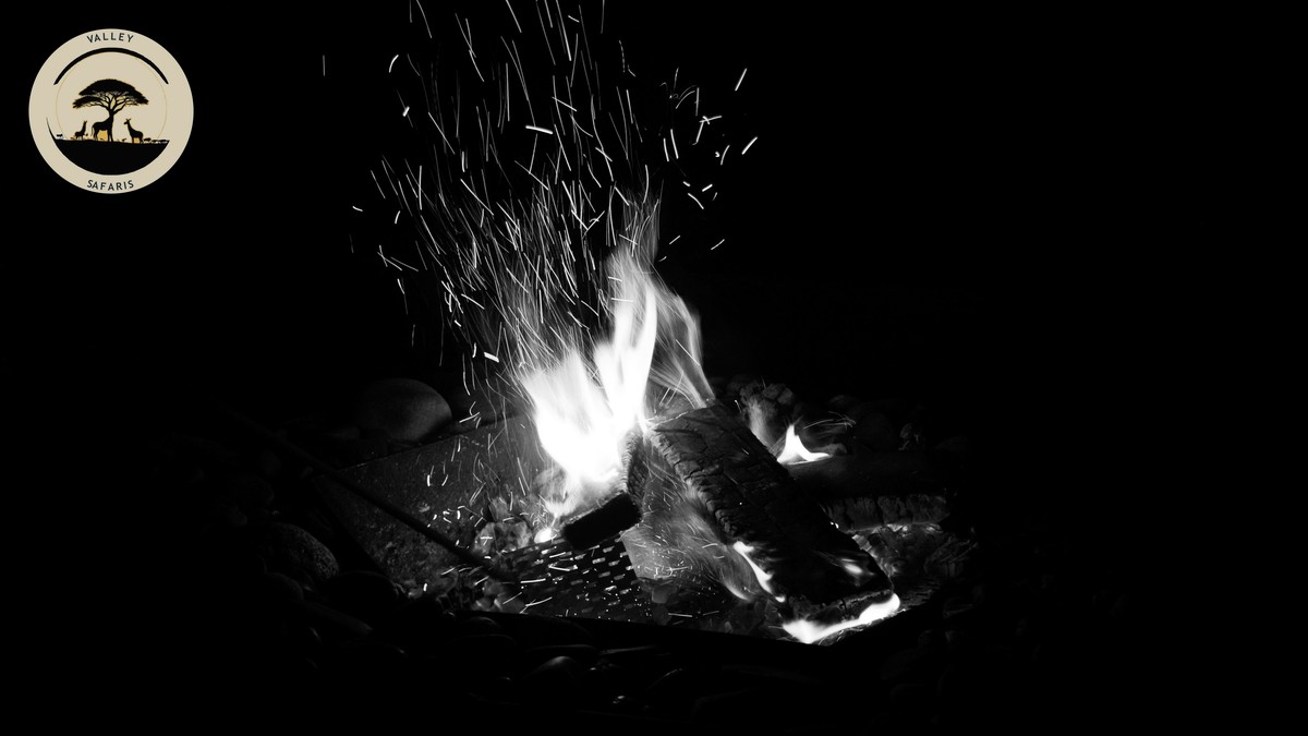 What Meals Are Included in a Safari Camp? Full Guide - photo 1