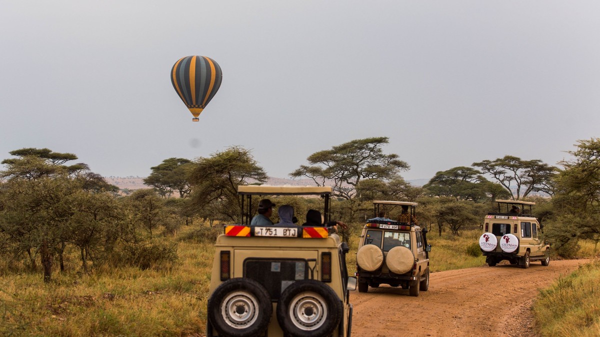 Which Kenya Parks Allow Self-Drive? 2026 Guide - photo 2