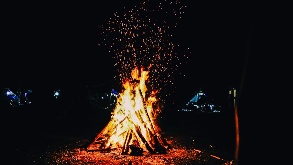 Why Safari Camps Have No Fences (And Is It Safe?) - photo 1