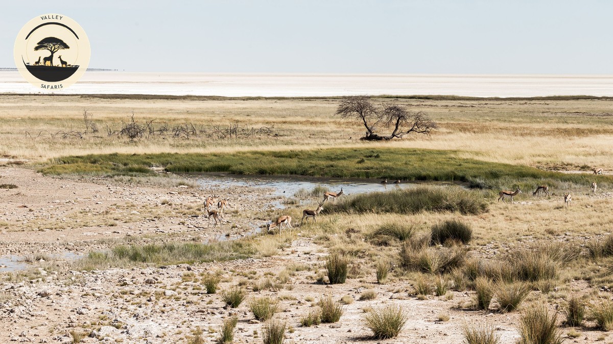 Wildebeest Migration Live Tracker: How to Use It Right - photo 2