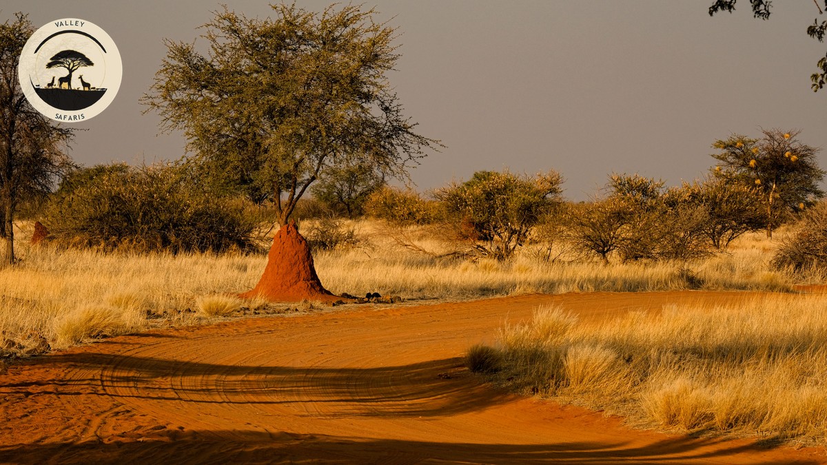 Wildebeest River Crossing Chances: The Honest Odds - photo 2