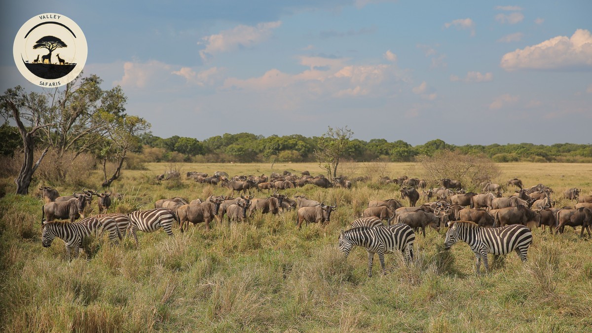 The Worst Time to Visit Kenya on Safari (And Why)