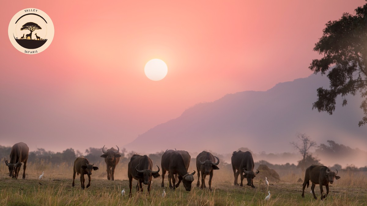The Worst Time to Visit Kenya on Safari (And Why) - photo 1